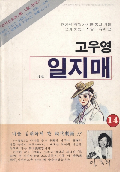 일지매 (14) 단행본