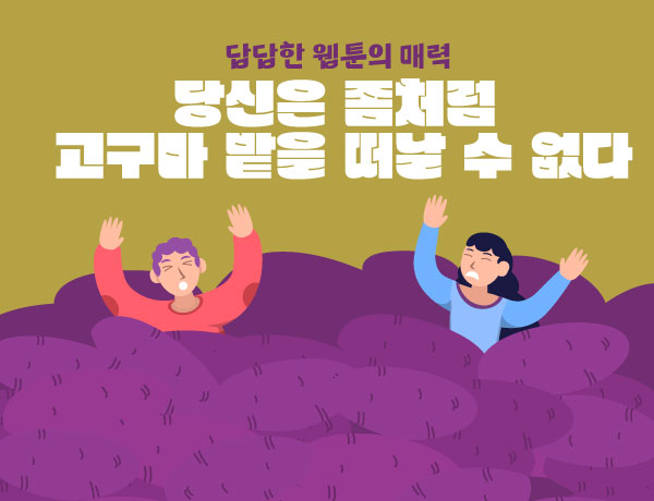 캐러셀 이미지3